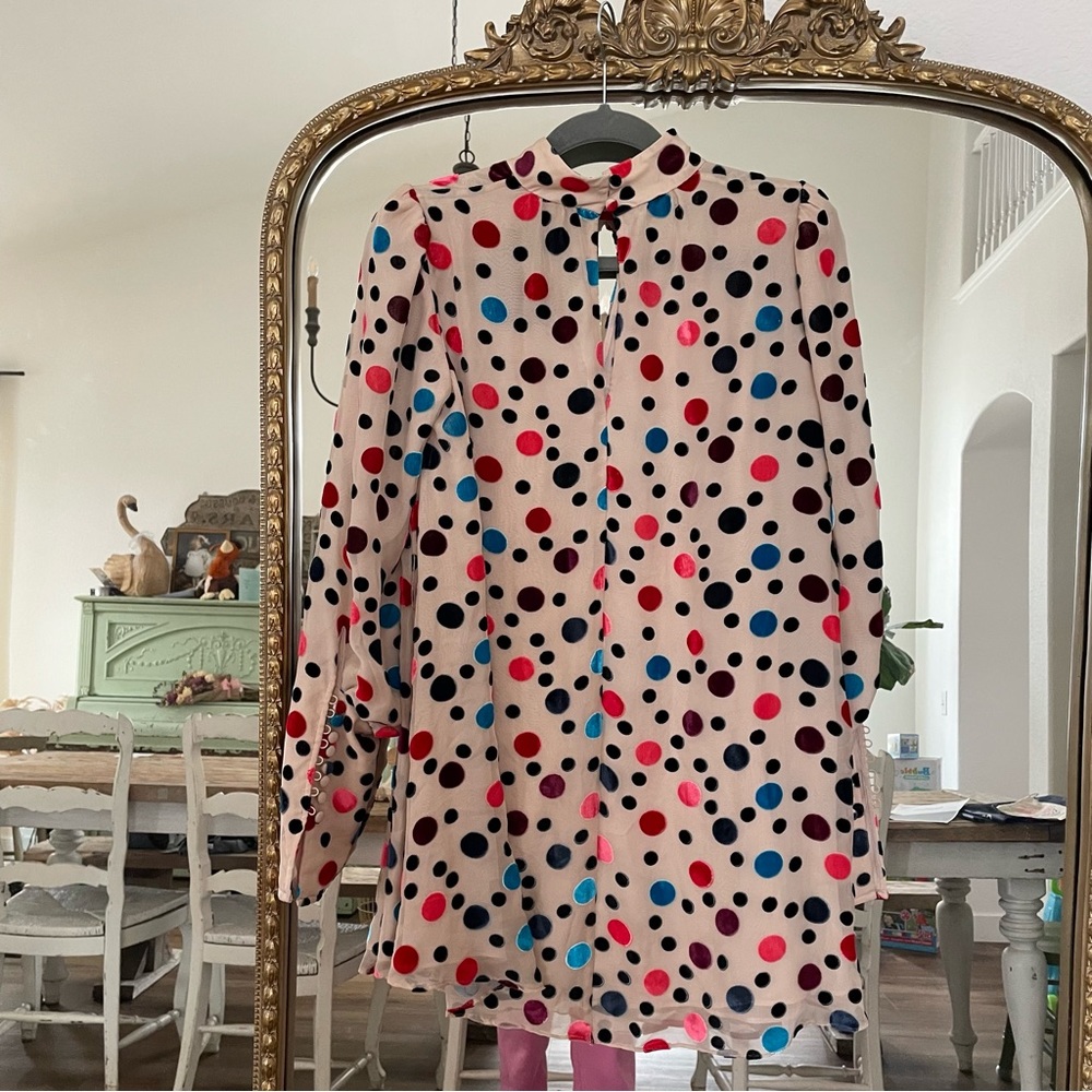 Saloni Mini Dress - Picture 5 of 9
